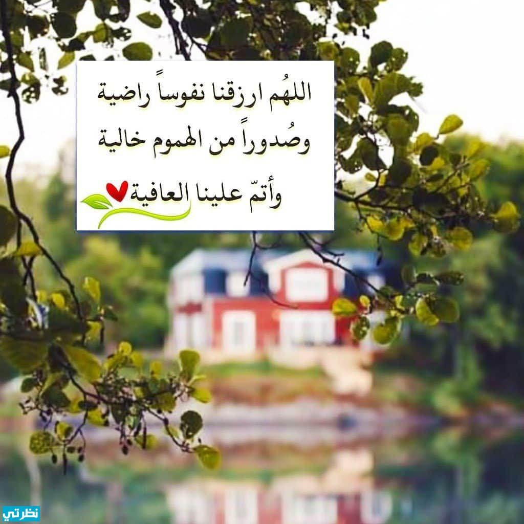 دعاء الضالة