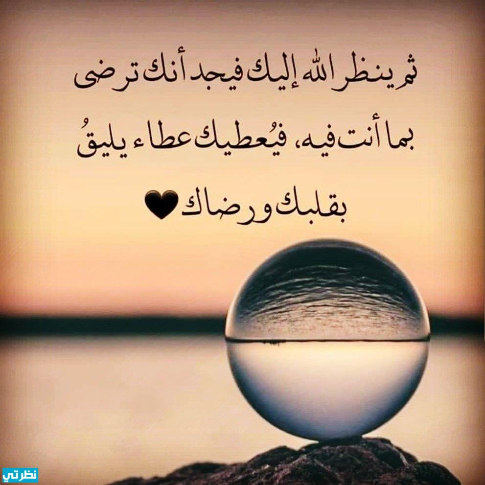 دعاء الضالة