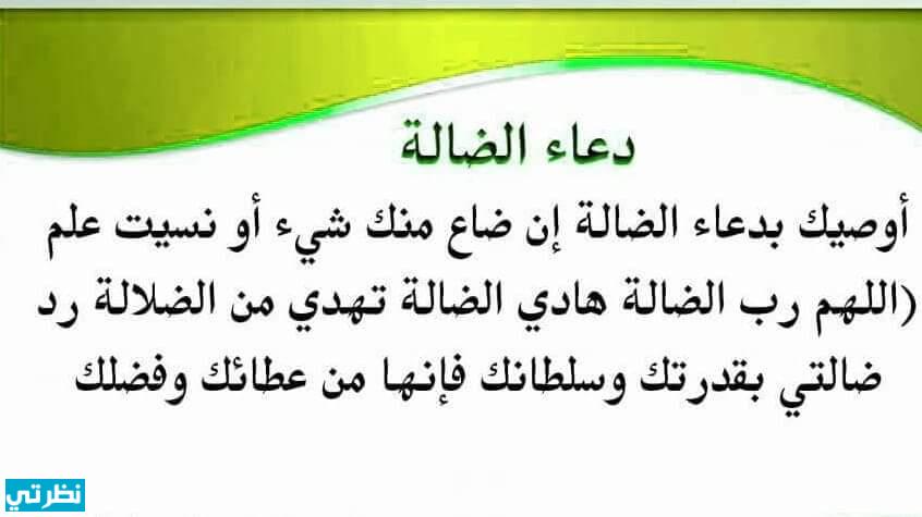 دعاء الضالة