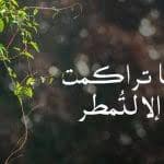 أسماء فيسبوك نادرة