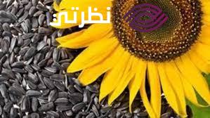 كريم راديا روز Radia Rose