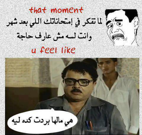 بوستات مضحكة للفيسبوك