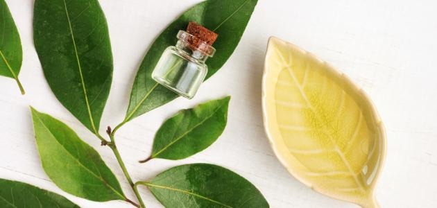 من جربت الكافور لزوجها وكيفية استخدامه ومتى يبدأ مفعوله